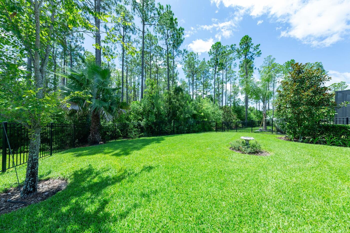 126 Sand Harbor Drive &mdash; the wooded lot behind